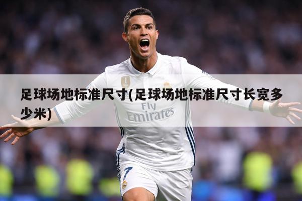 足球场地标准尺寸(足球场地标准尺寸长宽多少米)