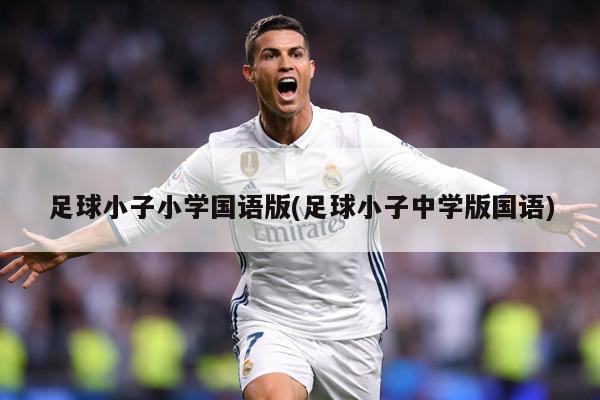 足球小子小学国语版(足球小子中学版国语)